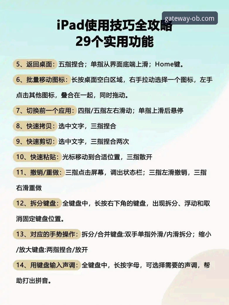 OB体育电脑版使用指南：从安装到赛事投注的完整操作手册