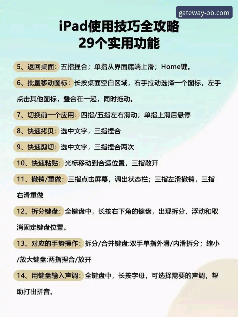 OB体育电脑版功能全面解析：从入门到精通的深度体验指南